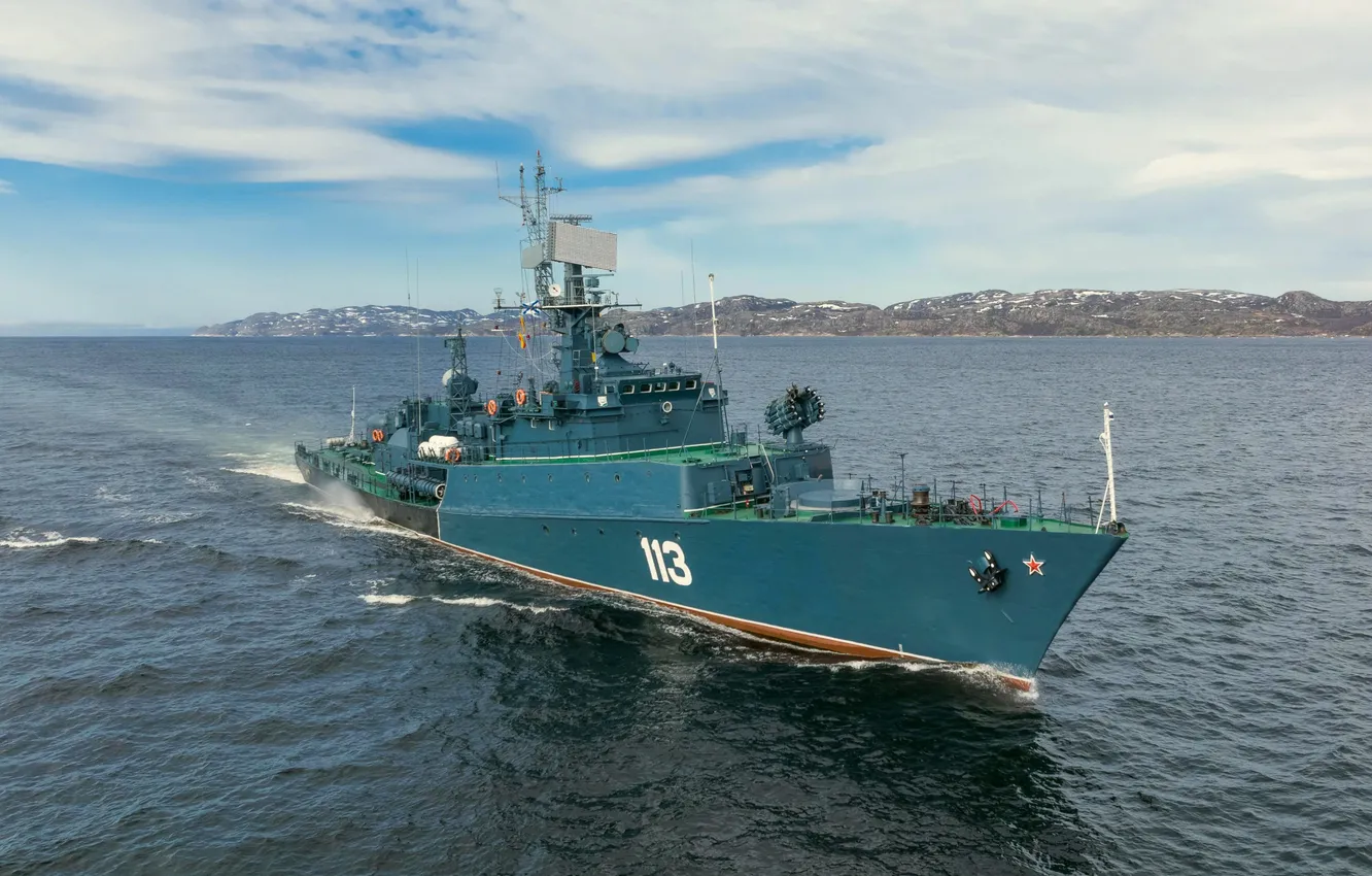 Photo wallpaper MPK, Jung, project 1124m