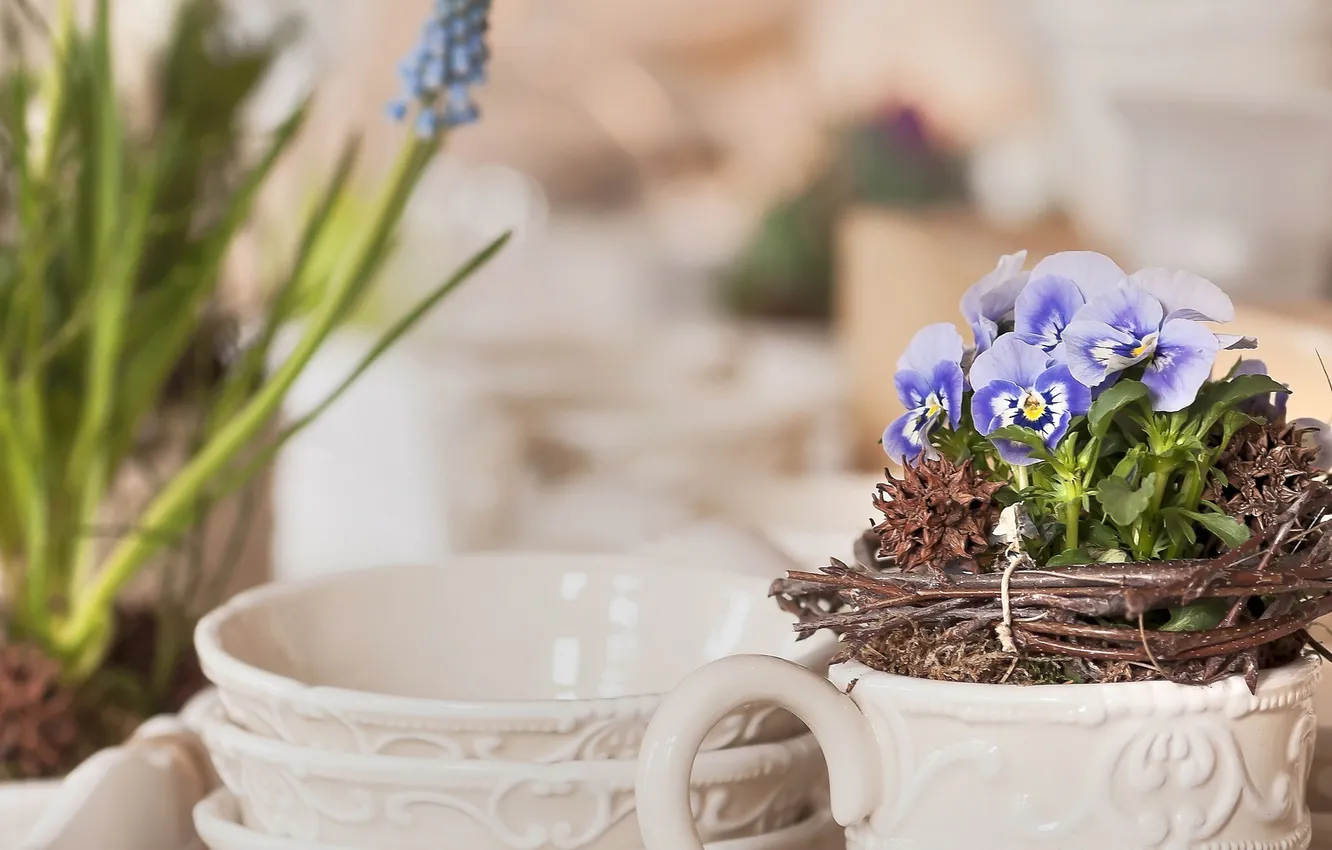 Photo wallpaper flowers, sprig, bowl, viola, pot