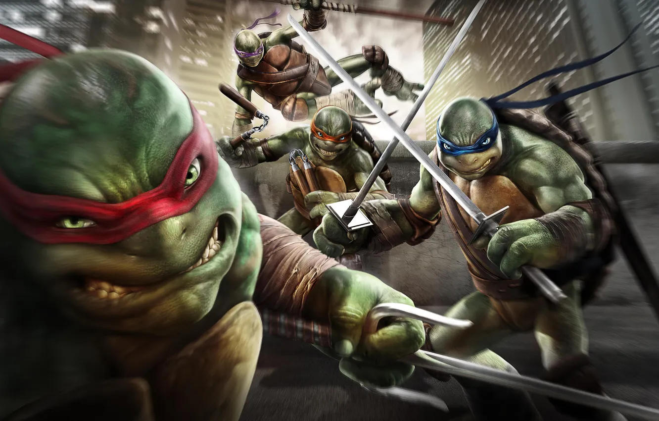 Photo wallpaper headband, swords, Teenage mutant ninja turtles, Rafael, Raphael, Leonardo, Donatello, Donatello