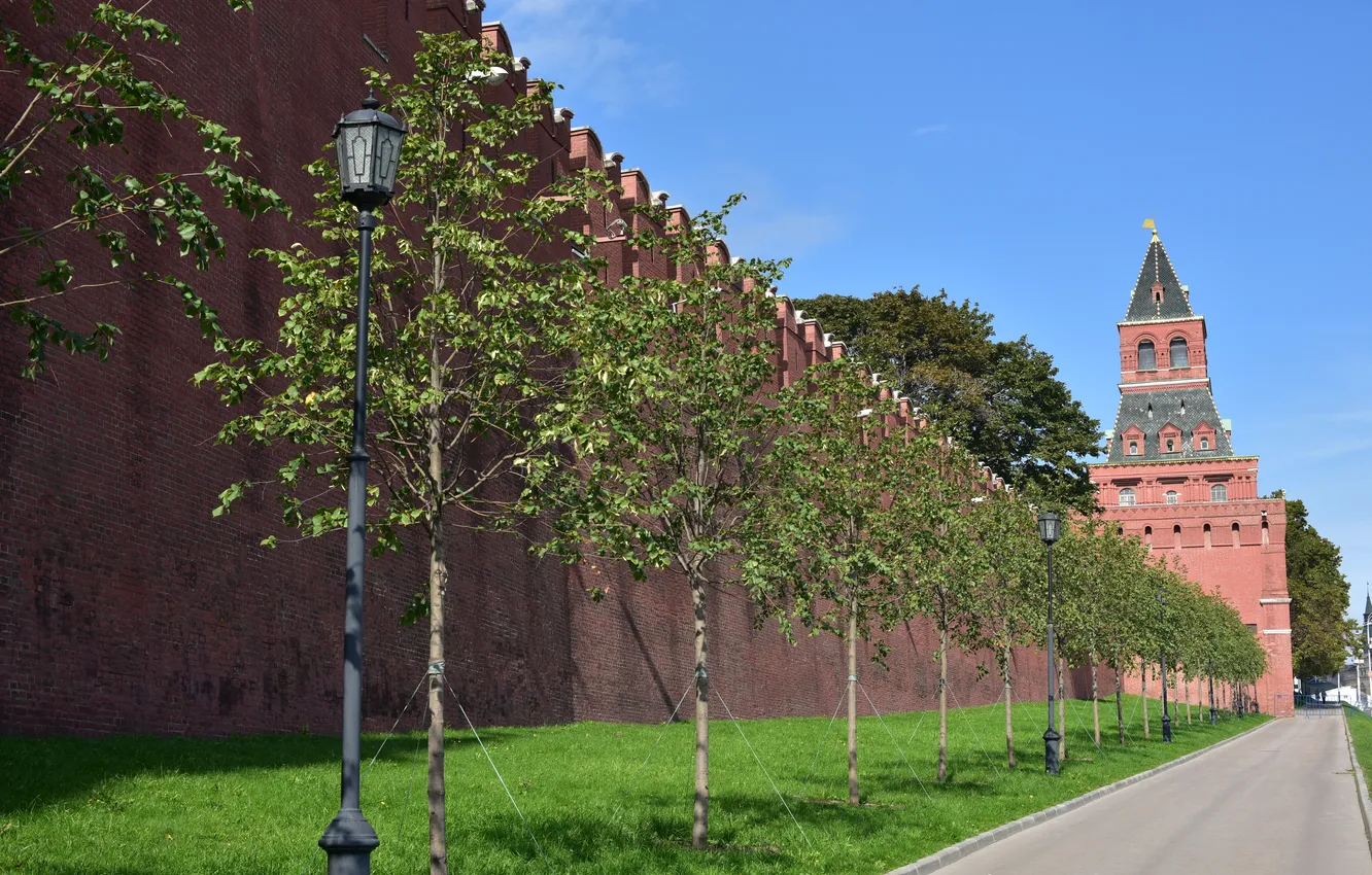 Photo wallpaper trees, wall, tower, lights, Moscow