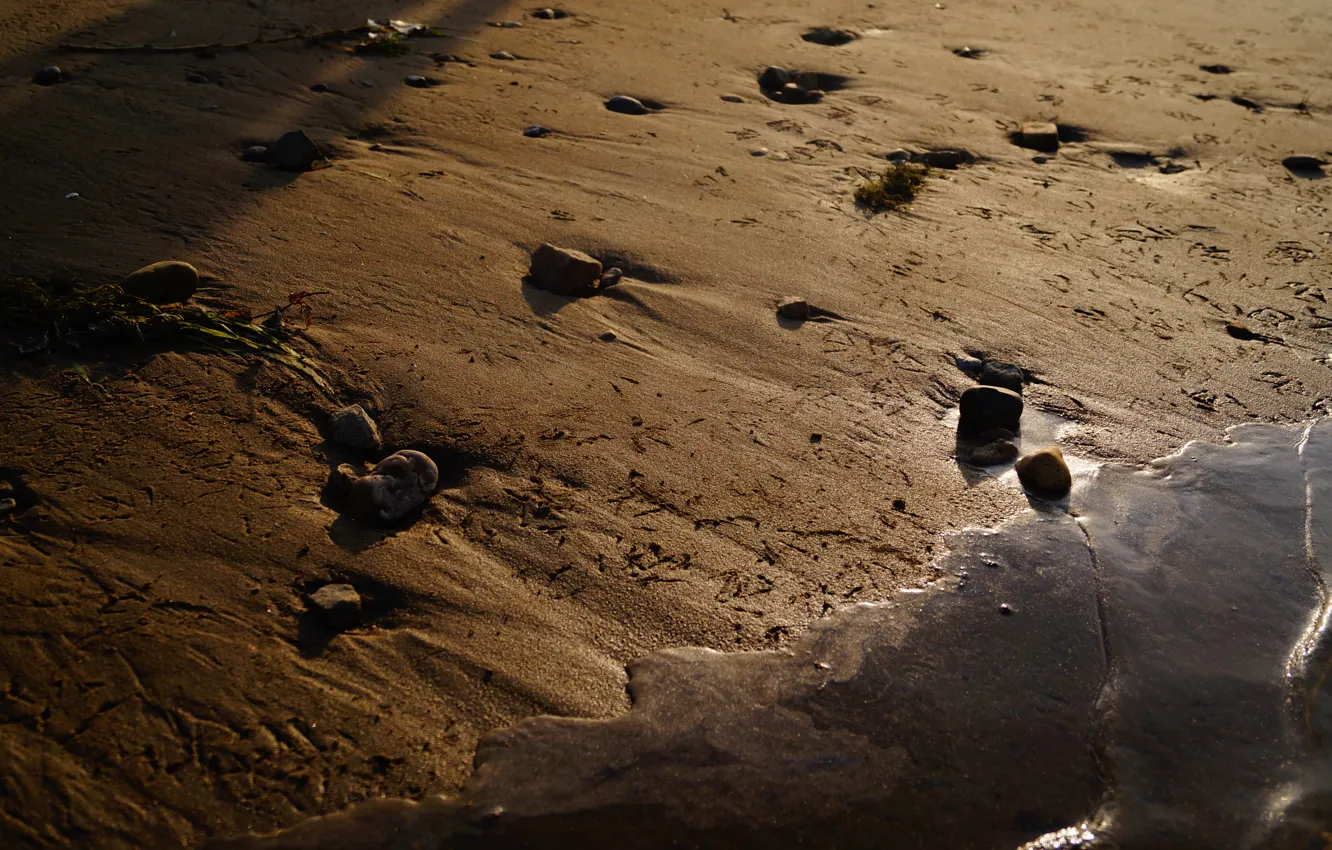 Photo wallpaper sand, beach, grass, water, the sun, nature, Rosa, river
