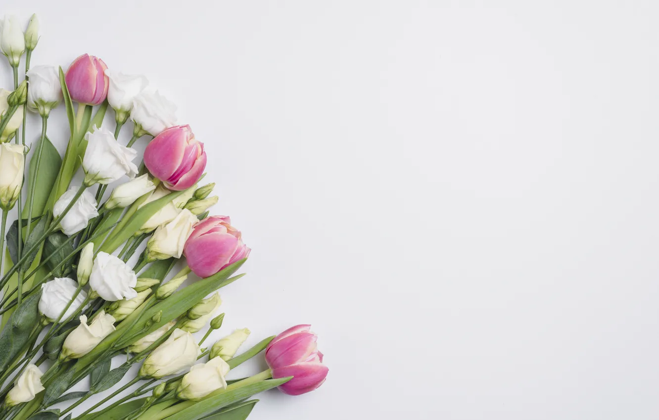 Photo wallpaper flowers, bouquet, tulips, eustoma