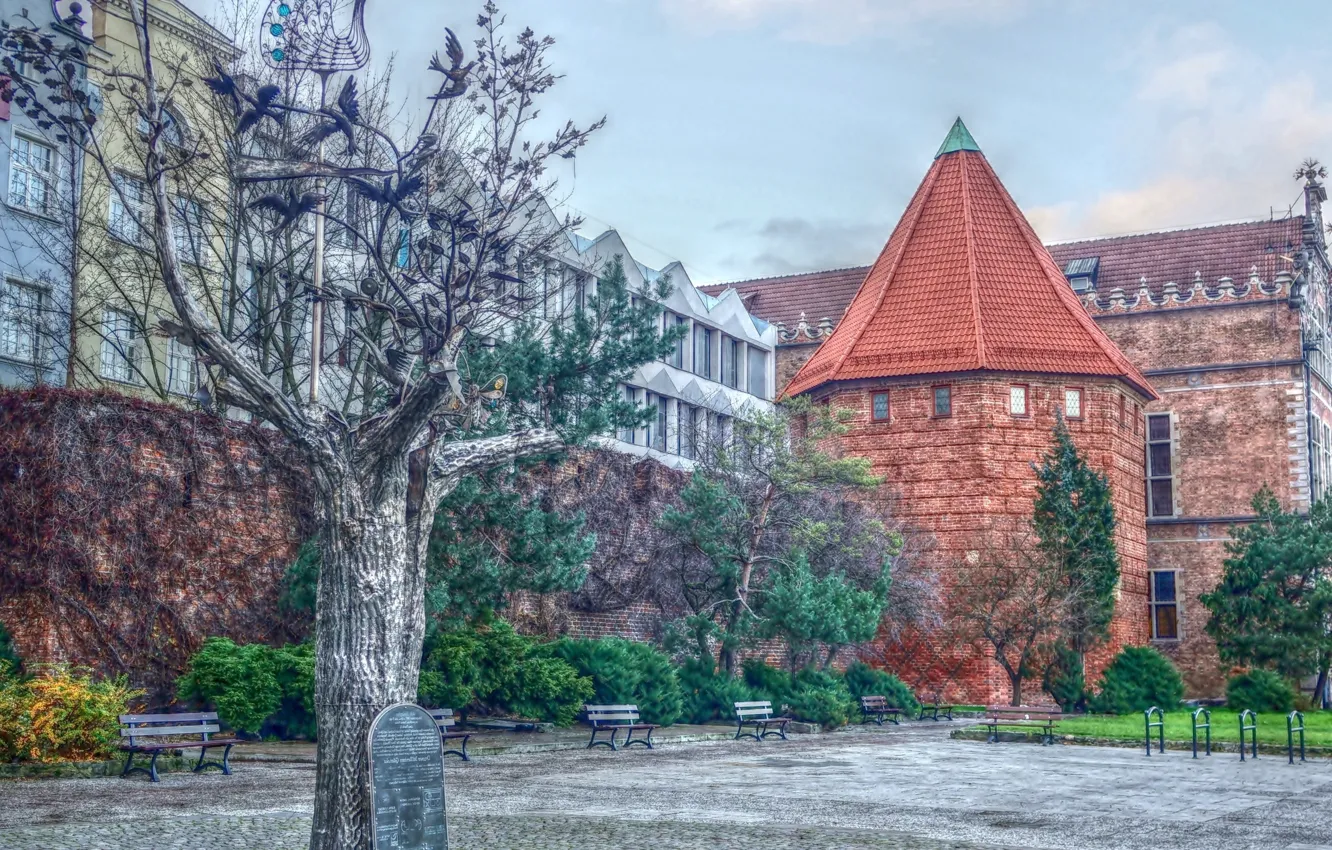 Photo wallpaper tree, street, Poland, building, Gdansk