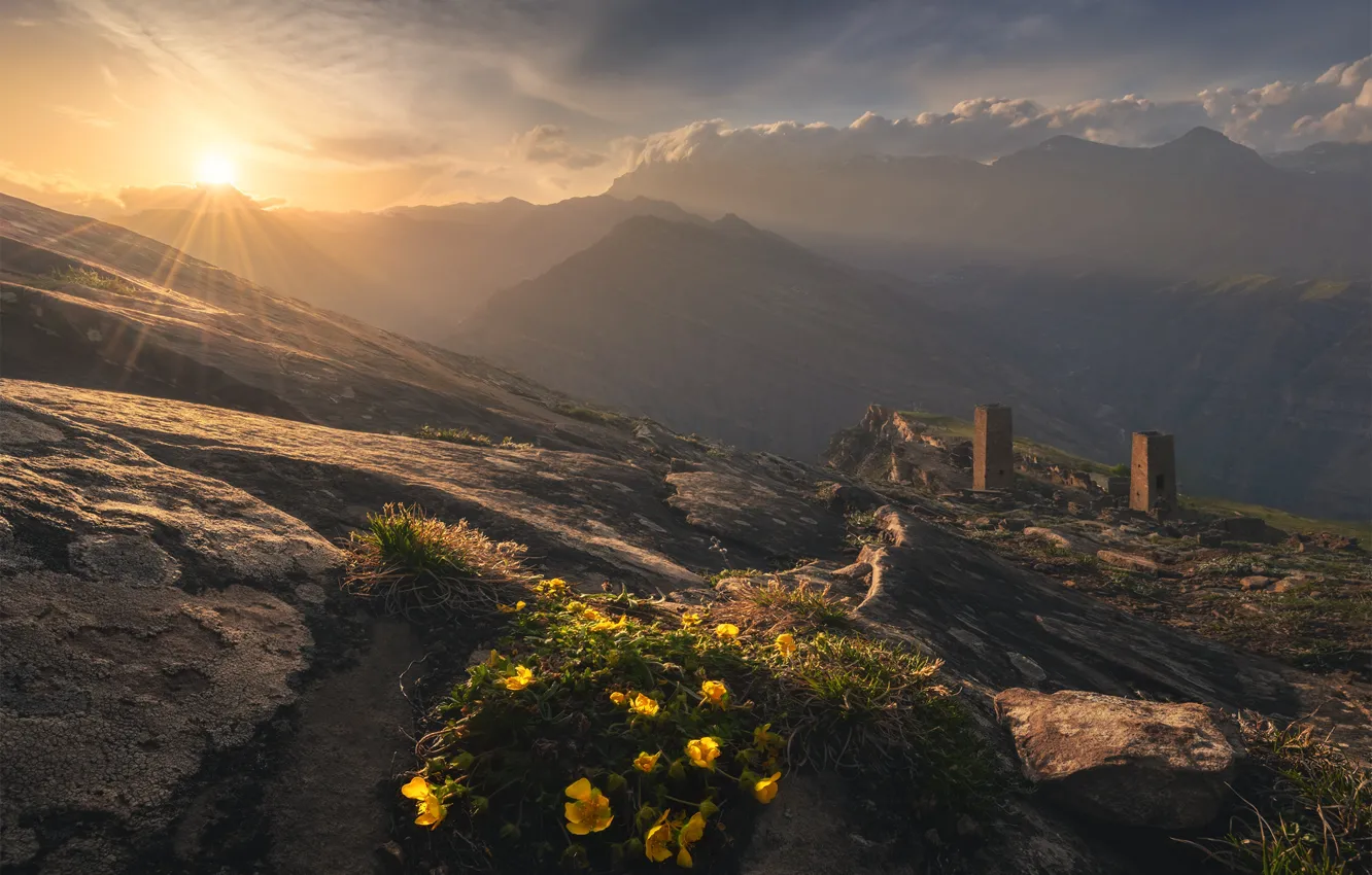Photo wallpaper flowers, mountains, dawn