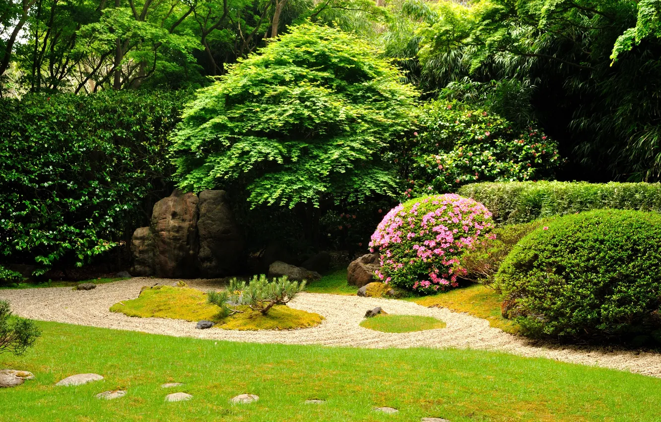 Photo wallpaper grass, trees, flowers, nature, Park, plant, garden, track