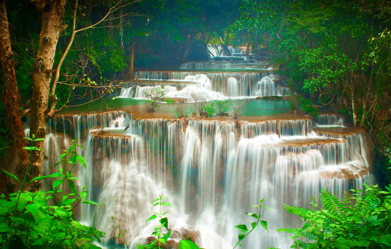 Photo wallpaper forest, trees, tropics, stream, waterfall, Thailand, cascade, Kanchanaburi