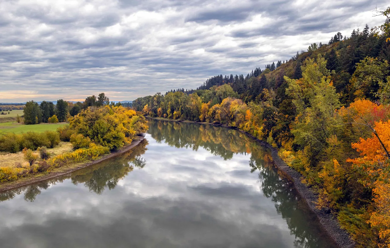 Photo wallpaper autumn, forest, clouds, trees, reflection, river, overcast, hills