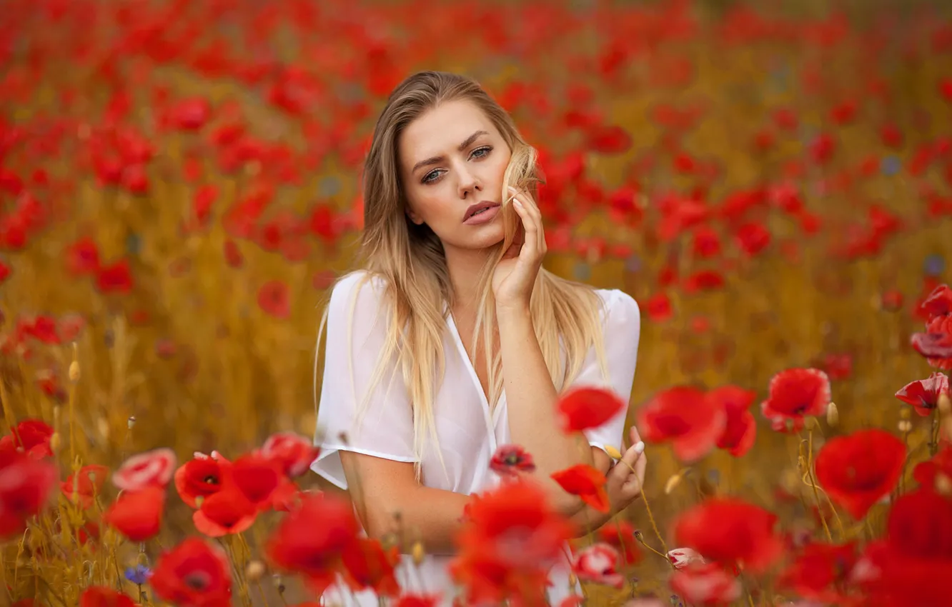 Photo wallpaper field, look, girl, flowers, face, mood, Maki, Anna Rawka