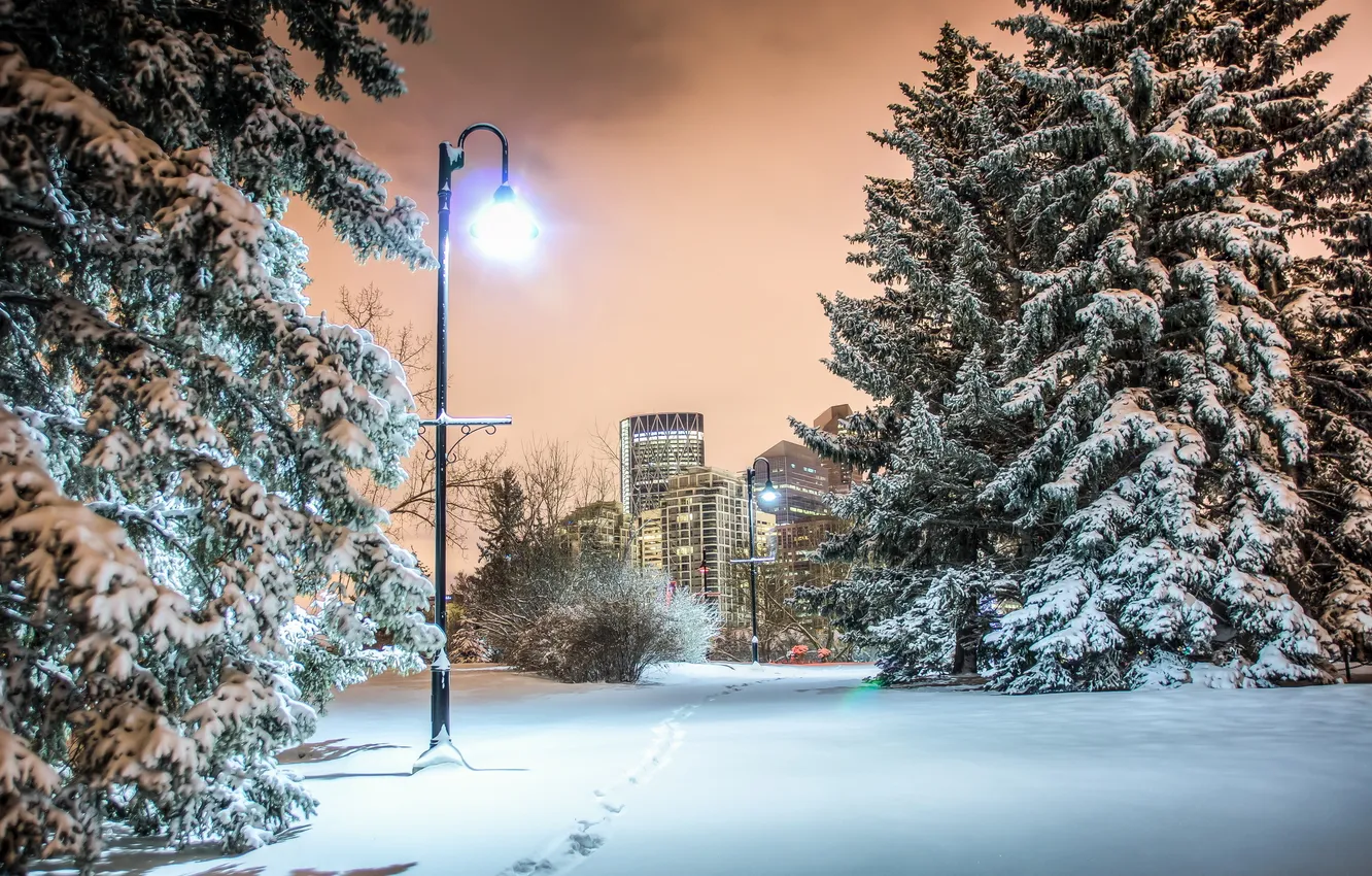 Photo wallpaper night, the city, Park, Calgary