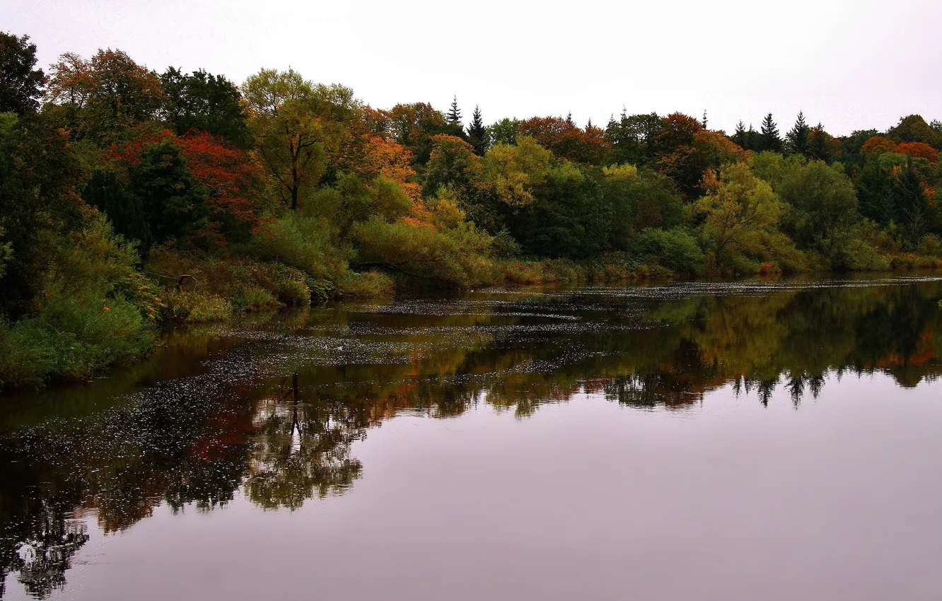 Photo wallpaper autumn, trees, reflection, foliage, UK, the river Clyde