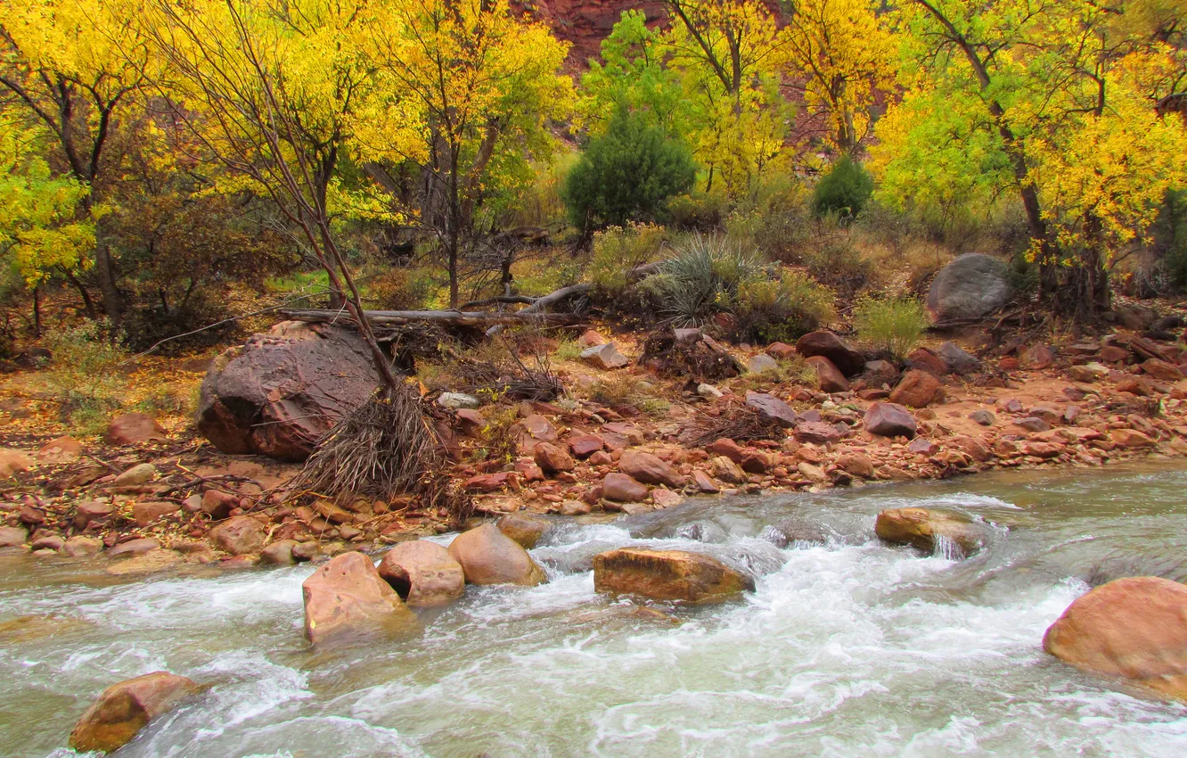 Photo wallpaper autumn, trees, river, stones, stream