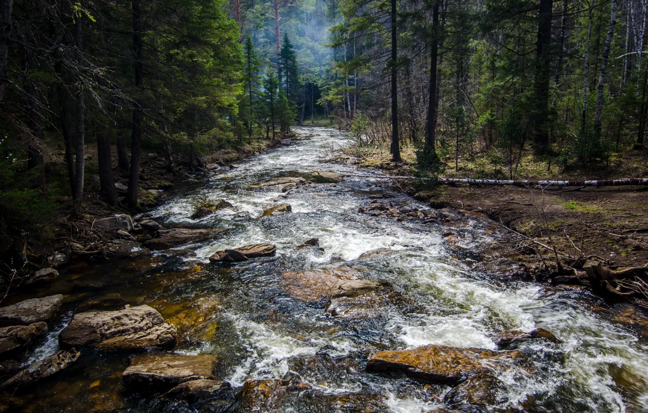 Photo wallpaper river, trees, nature, wood, water, rocks, stones, Daniil Silantev
