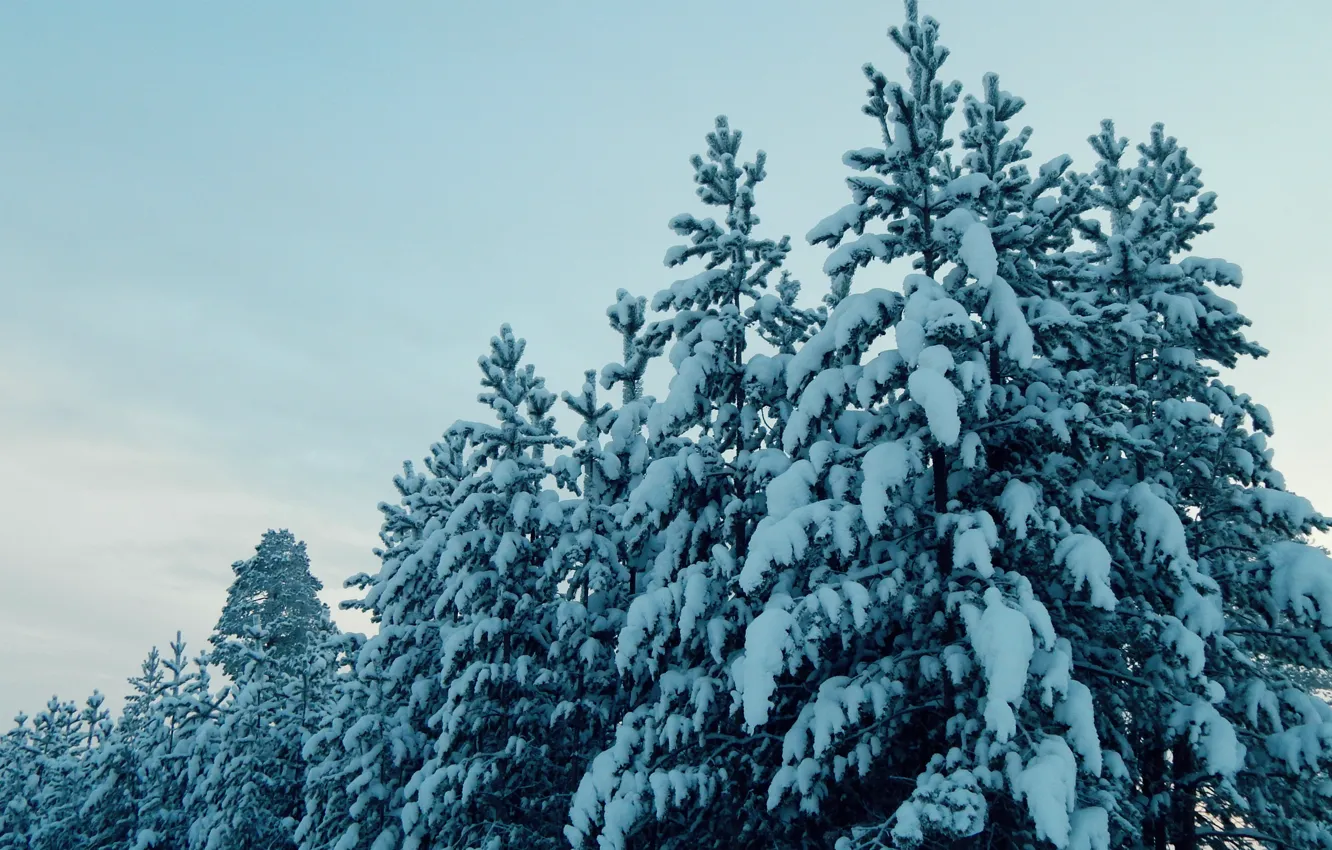Photo wallpaper cold, winter, autumn, snow, Russia, Noyabrsk, YANAO, YAMAL
