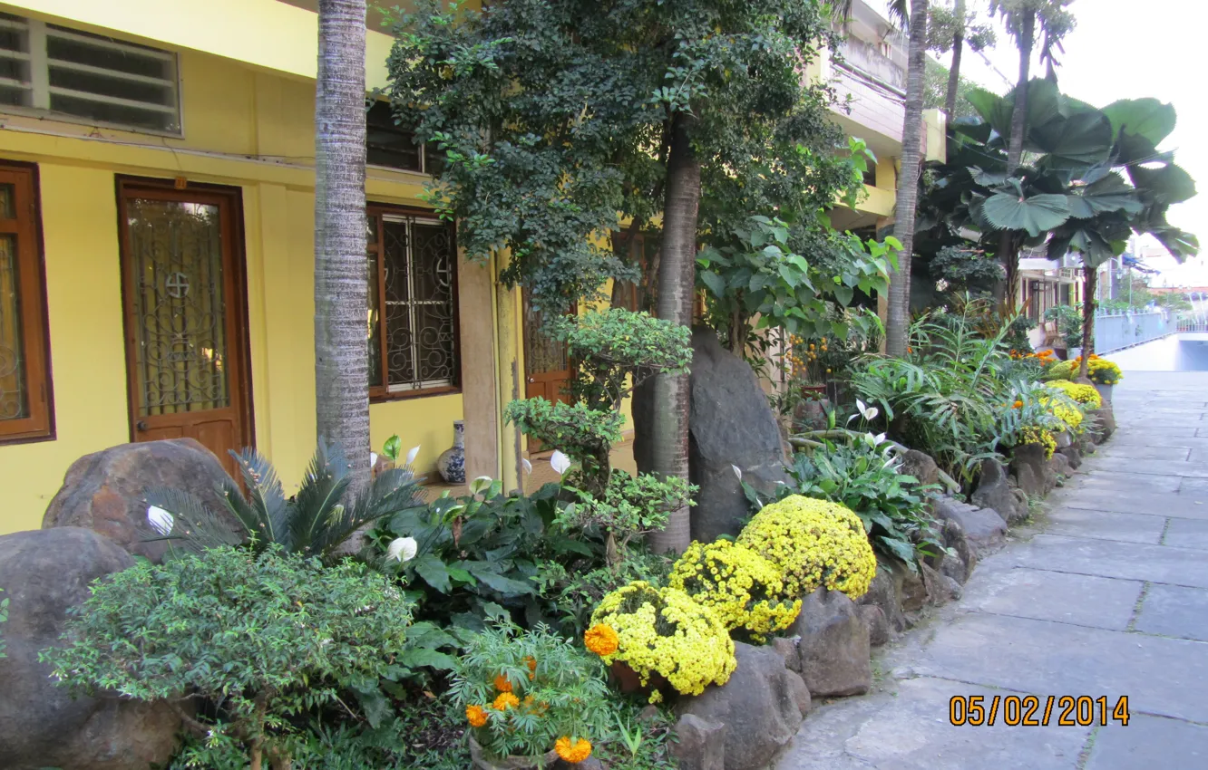 Photo wallpaper garden, East, street