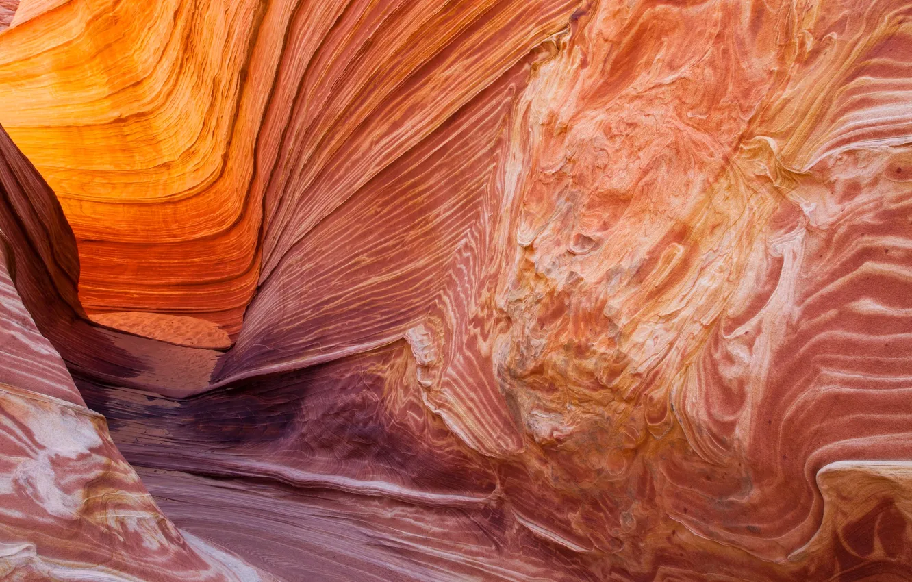 Photo wallpaper paint, canyon, AZ, gorge, USA, North Coyote Buttes