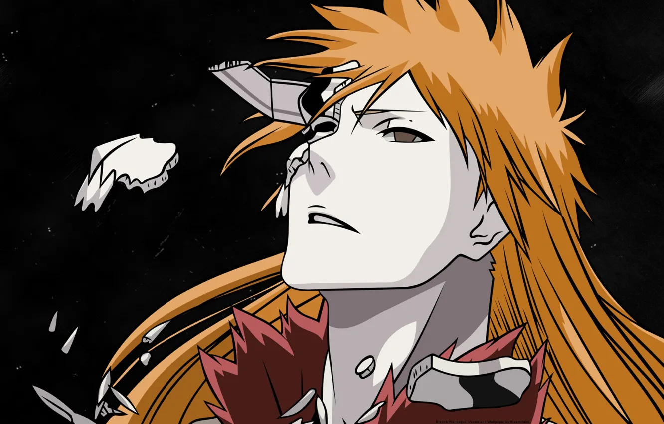 Photo wallpaper fragments, guy, Bleach, Bleach, Ichigo Kurosaki, empty