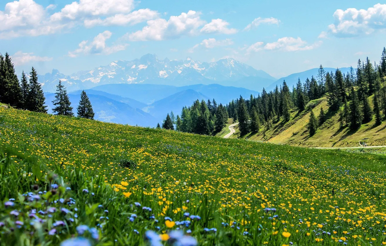 Photo wallpaper summer, the sky, flowers, mountains, hills