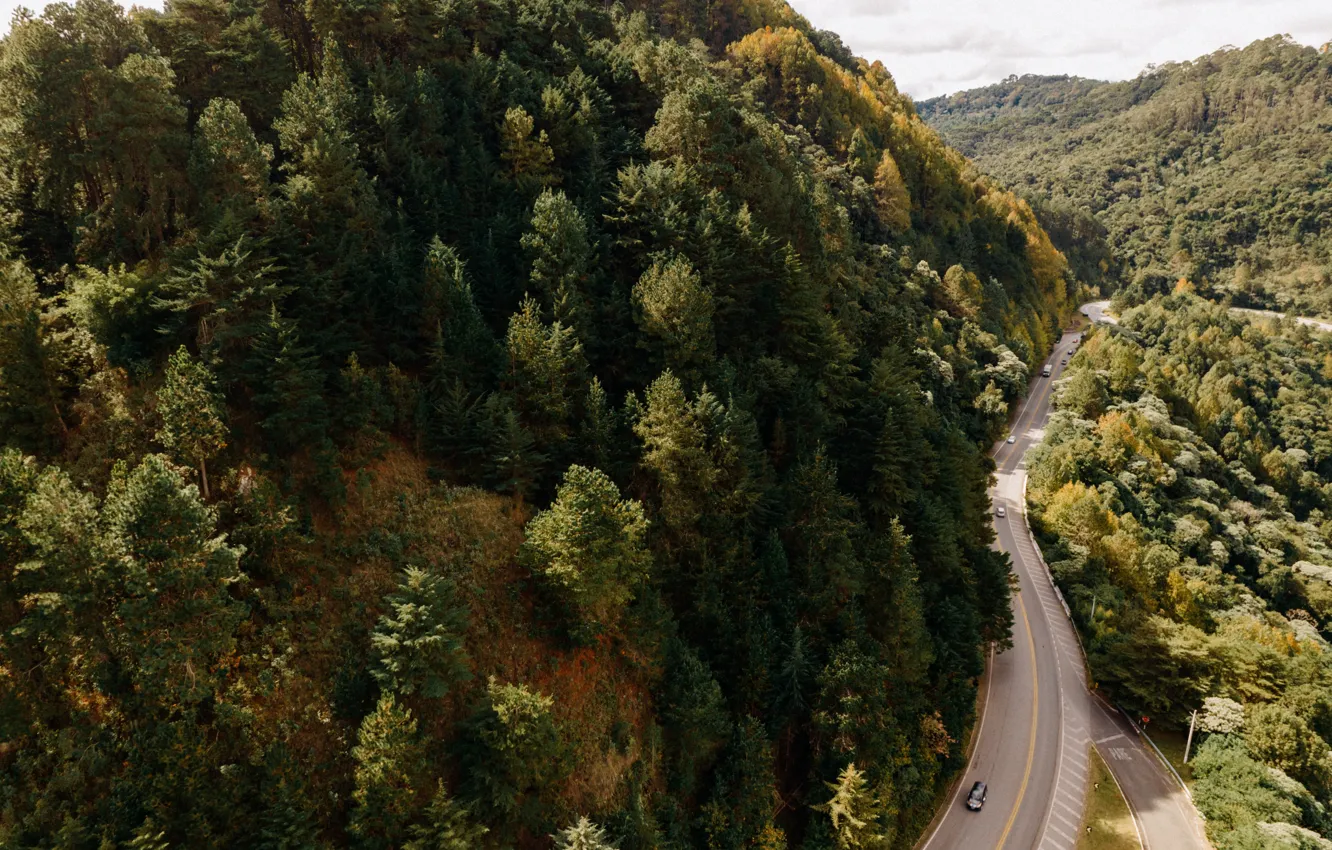 Photo wallpaper trees, mountains, highway, forest, cars, trees, mountains, forests