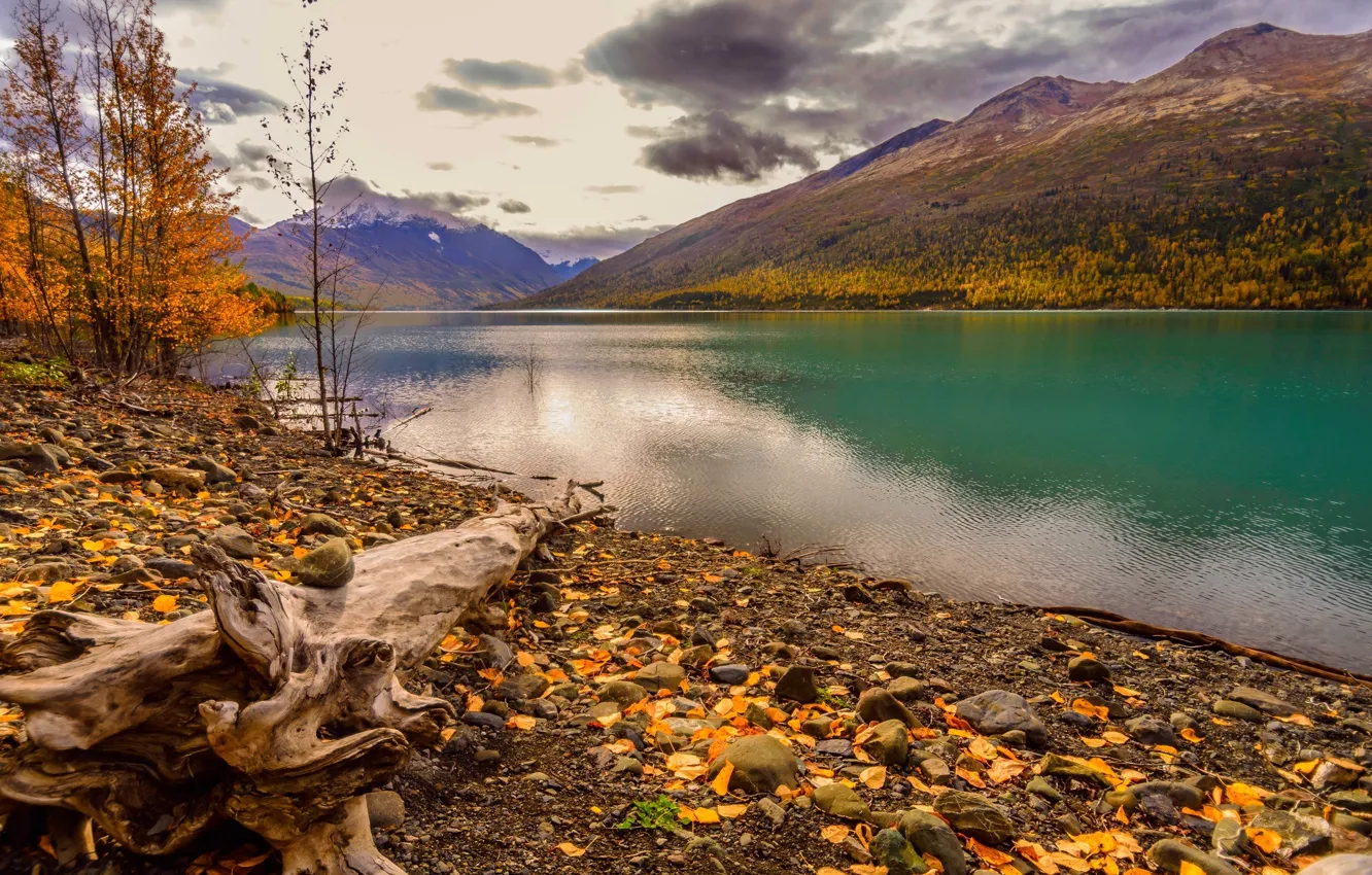 Photo wallpaper autumn, forest, the sky, leaves, water, clouds, trees, mountains