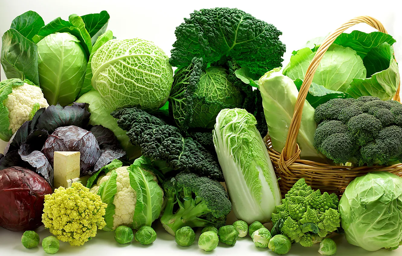 Photo wallpaper greens, basket, vegetables, different, cabbage, varieties
