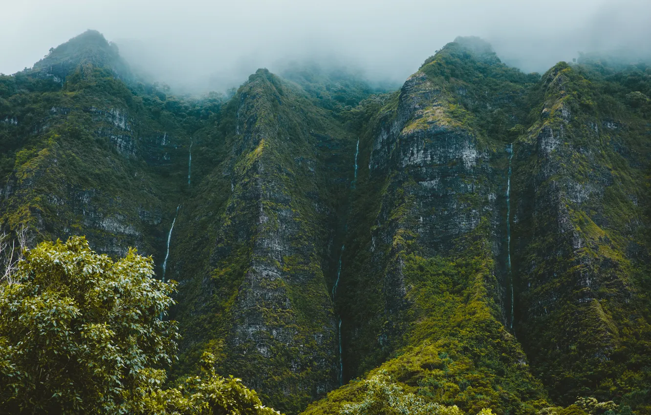 Photo wallpaper forest, clouds, trees, landscape, mountains, nature, fog, rocks