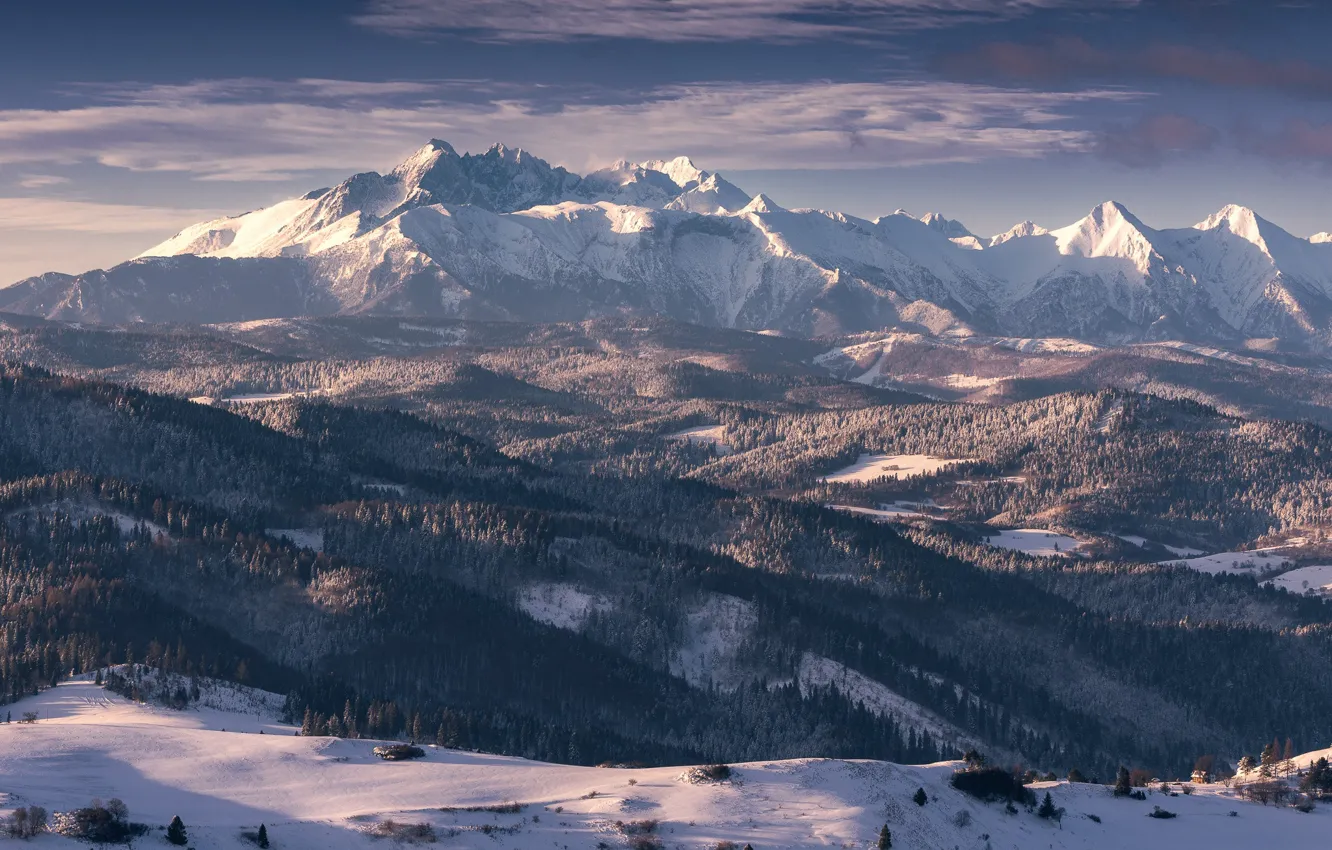 Photo wallpaper winter, forest, the sky, clouds, light, snow, mountains, nature
