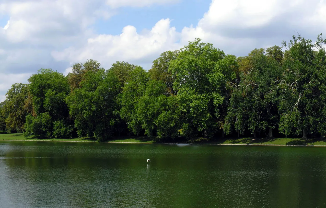 Photo wallpaper pond, France, The Palace Of Fontainebleau