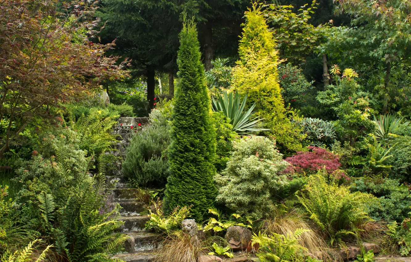 Photo wallpaper greens, trees, Park, garden, ladder, UK, steps, the bushes