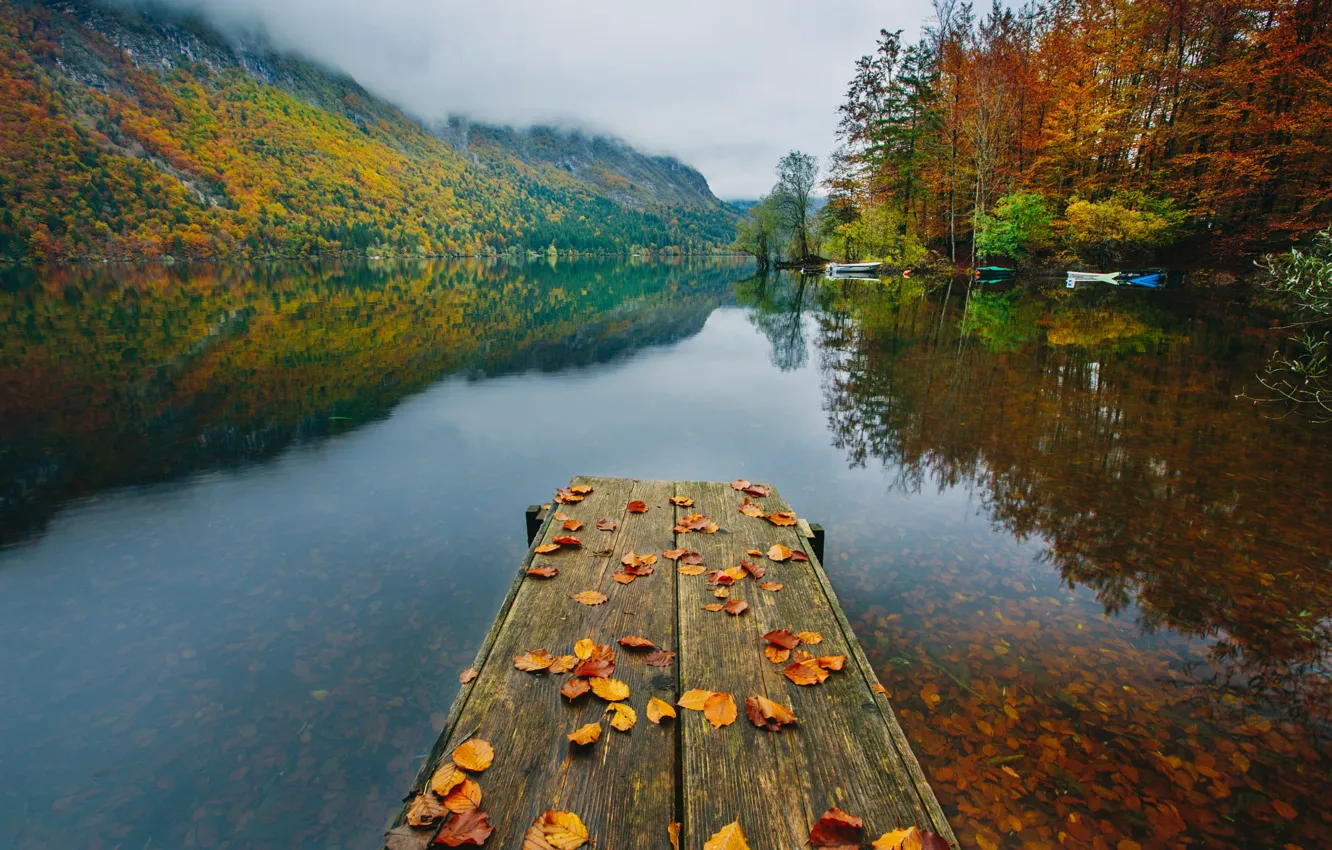 Photo wallpaper autumn, forest, fog, lake, reflection, shore, foliage, pierce