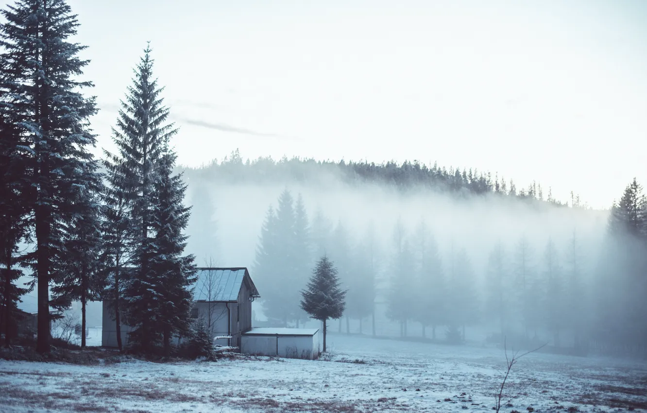 Photo wallpaper winter, forest, snow, trees, fog, house, the edge
