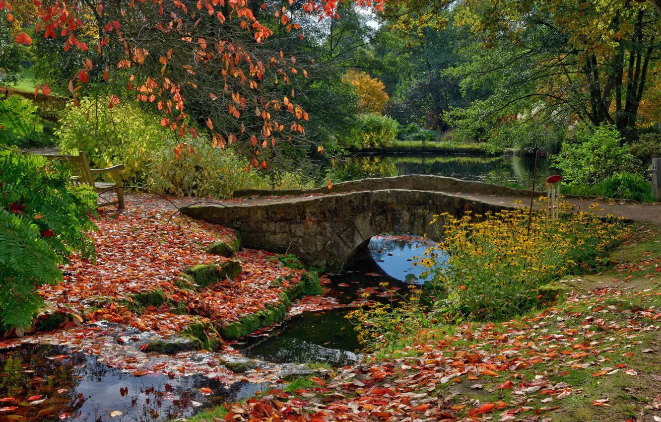 Photo wallpaper leaves, trees, bench, bridge, pond, Park, England, Ardingly