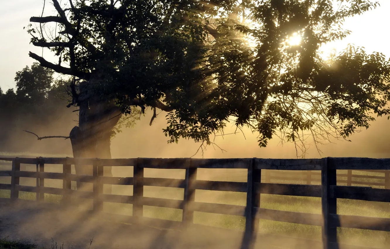 Photo wallpaper landscape, fog, the fence, morning
