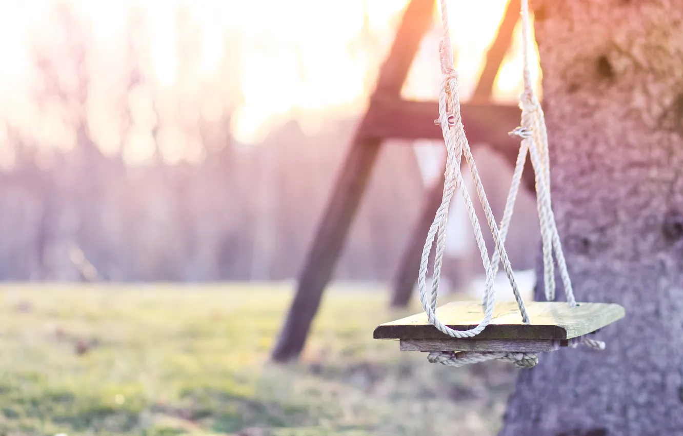 Photo wallpaper the sun, swing, spring