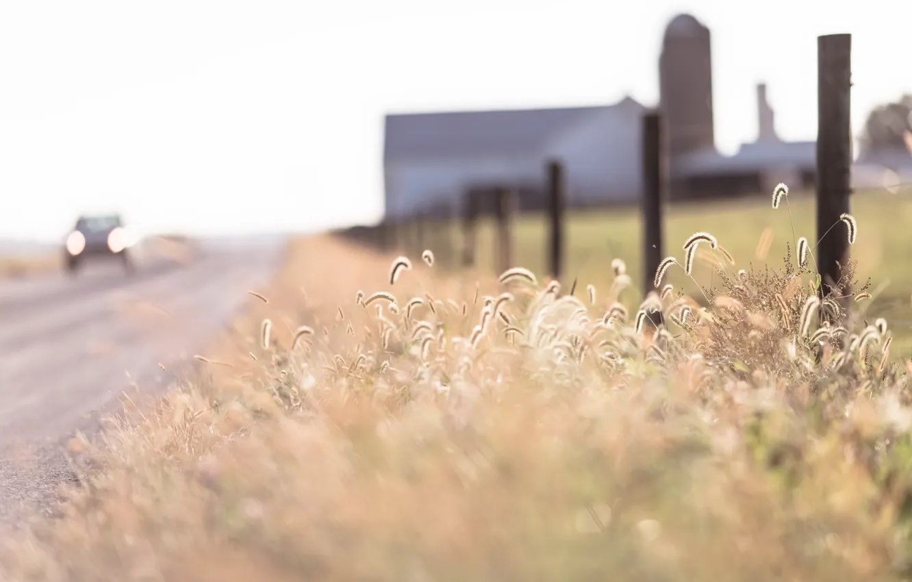 Photo wallpaper road, grass, background