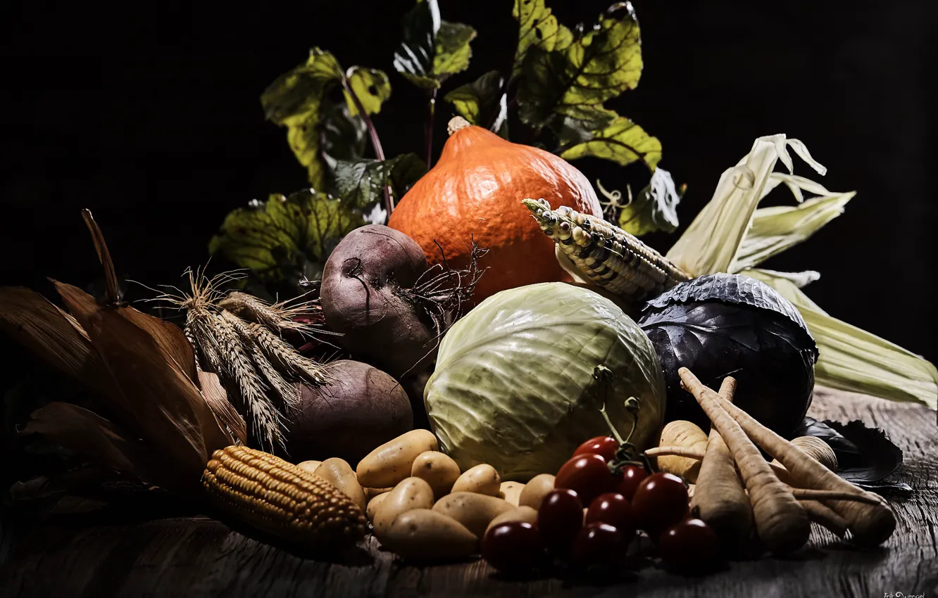 Photo wallpaper corn, harvest, vegetables, cabbage, potatoes, beets
