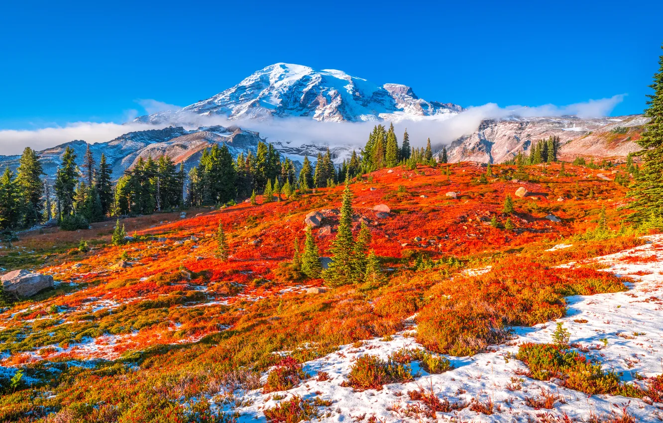 Photo wallpaper autumn, landscape, mountains, USA, Mount Rainier National Park