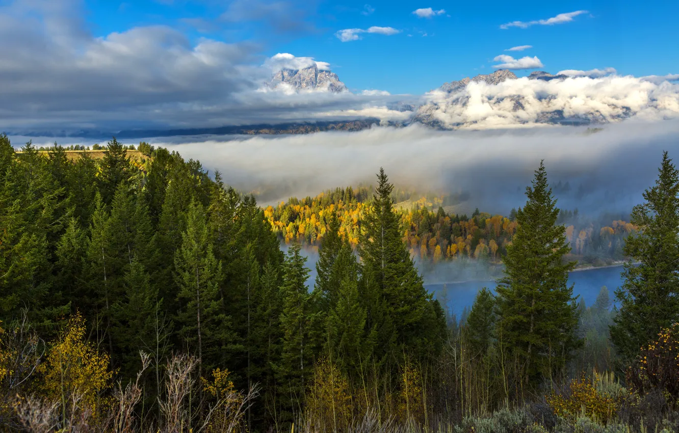 Photo wallpaper autumn, forest, clouds, trees, mountains, fog, river, USA