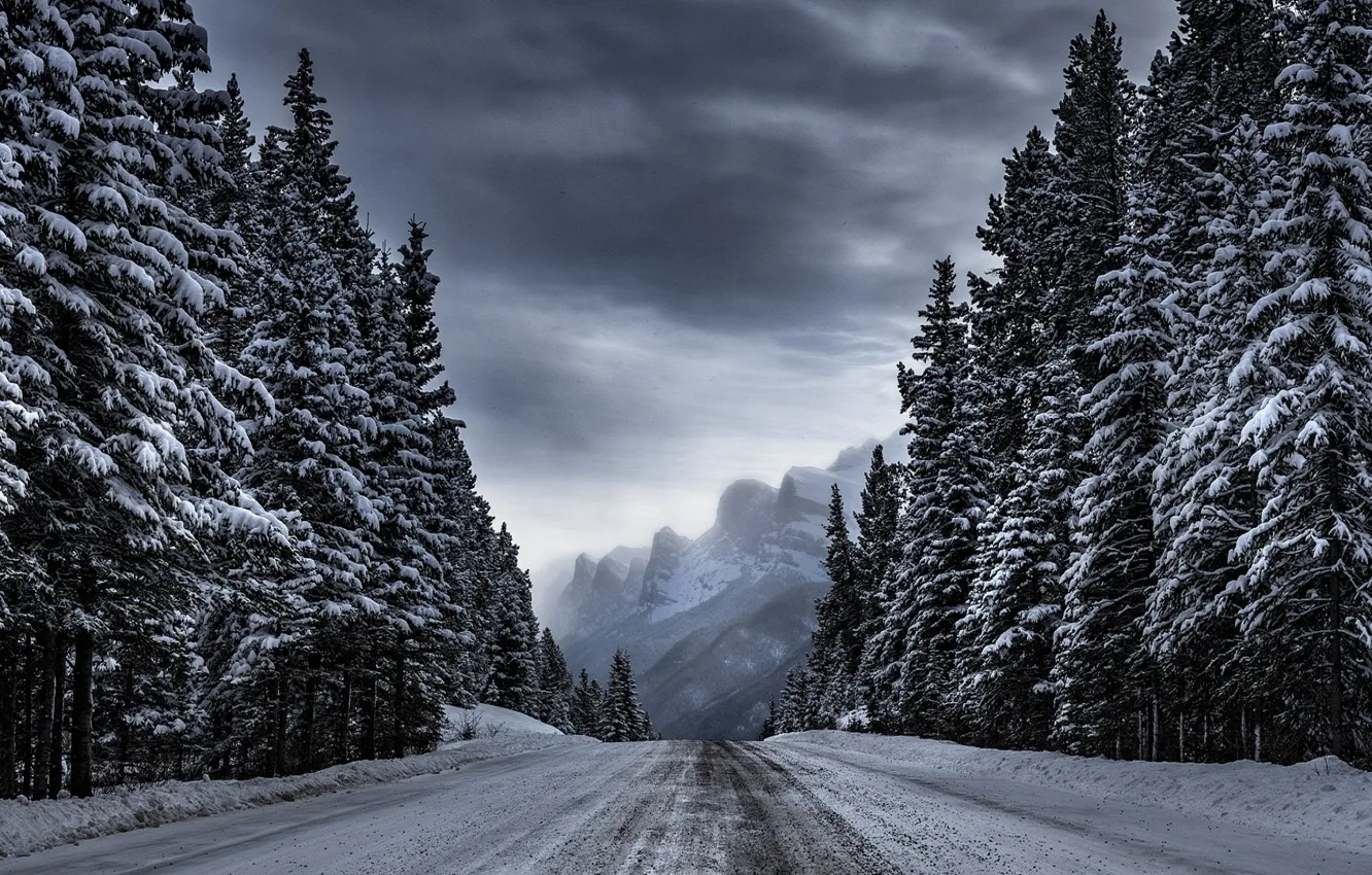 Photo wallpaper winter, road, forest, trees, mountains, Timothy Poulton