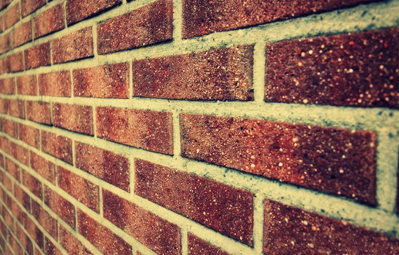 Photo wallpaper colors, perfect, wall bricks, cement