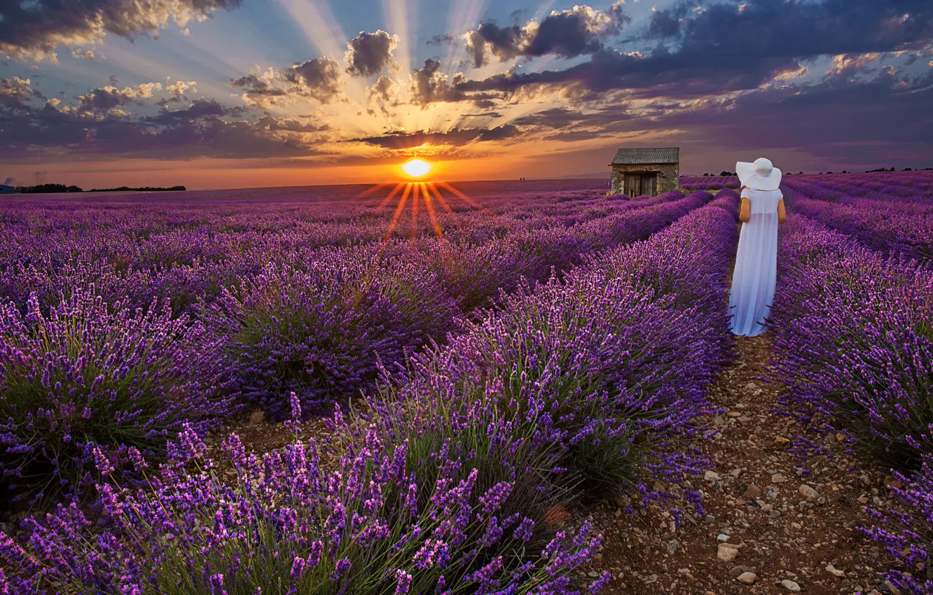 Photo wallpaper sunset, woman, hat, white dress, lavender, lavender field