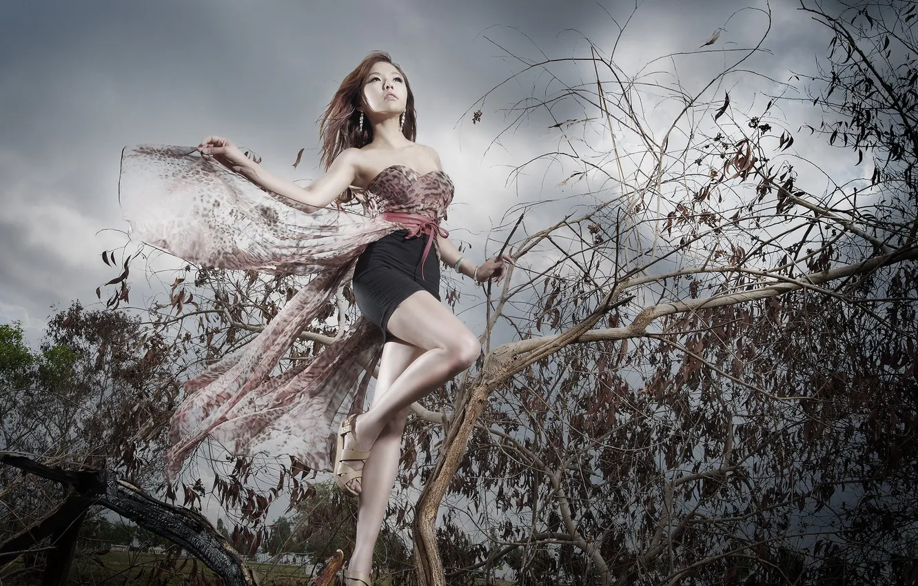 Photo wallpaper girl, pose, Asian