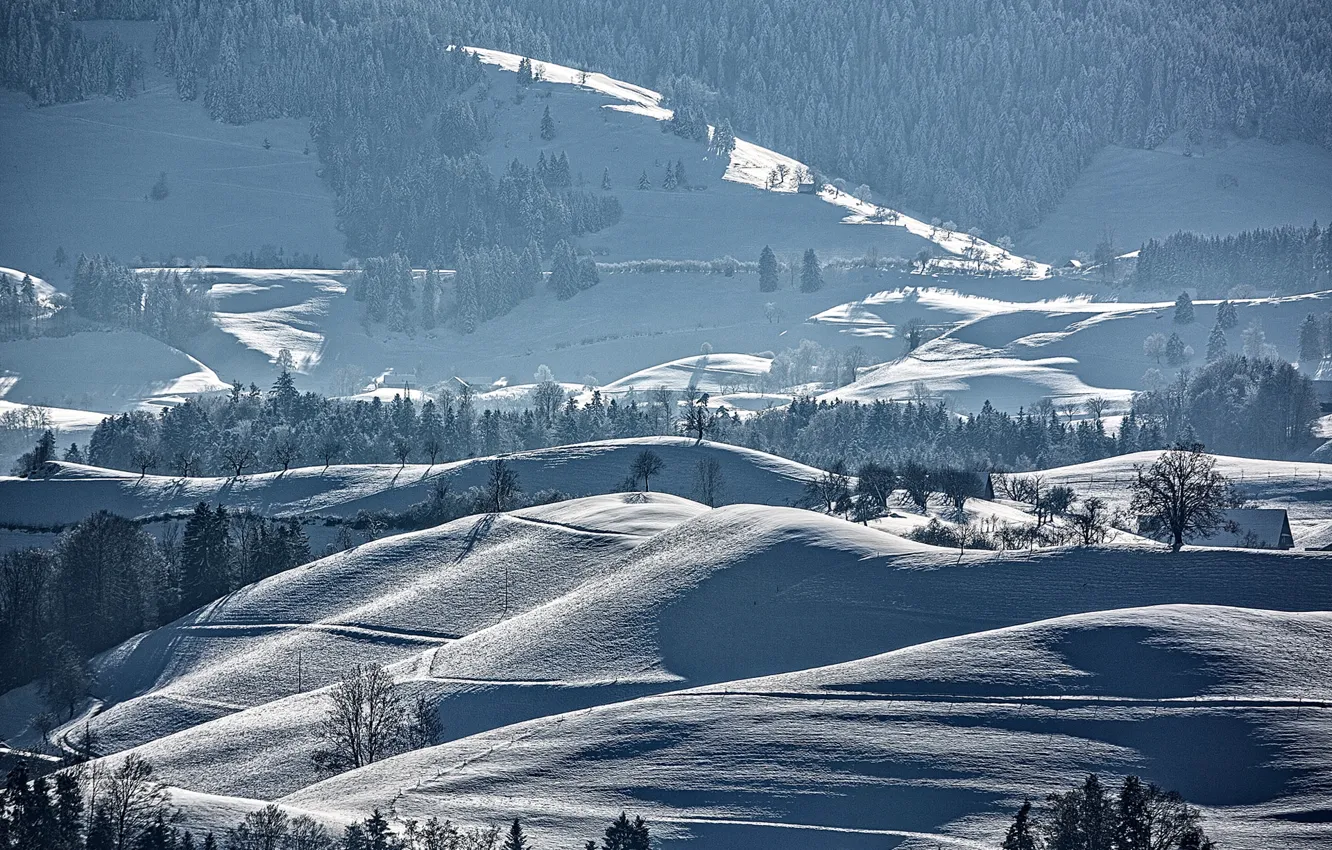 Photo wallpaper winter, snow, trees, landscape, mountains, slope