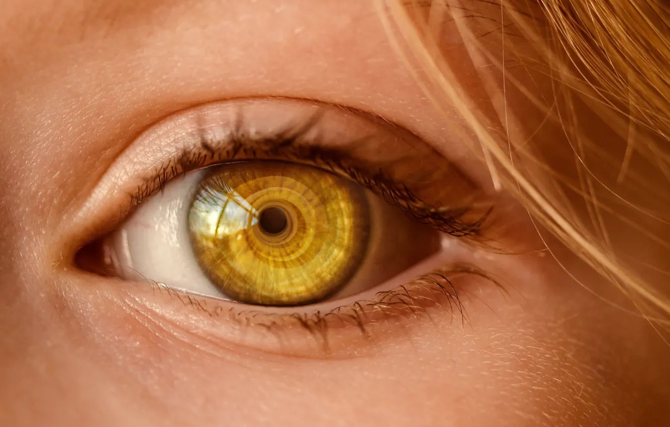 Photo wallpaper look, macro, close-up, close-up, macro, look, blonde hair, forever