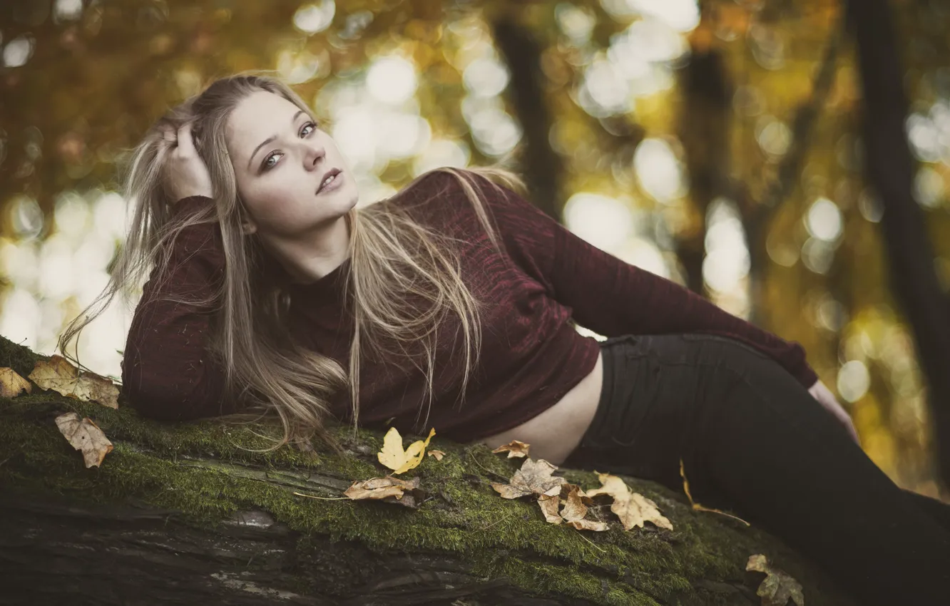 Photo wallpaper autumn, look, leaves, pose, log