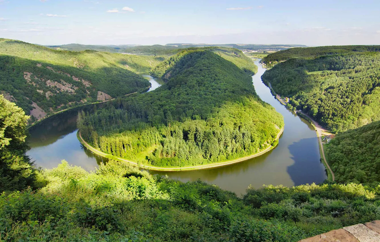 Photo wallpaper forest, nature, river, Germany, broom, Saar
