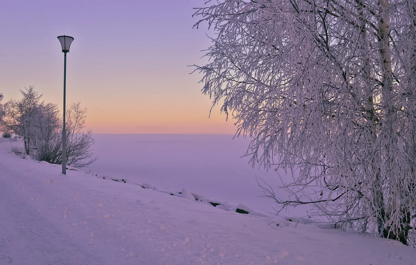 Photo wallpaper winter, the city, morning