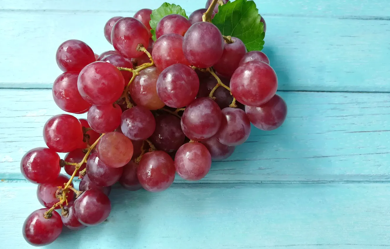 Photo wallpaper berries, grapes, brush