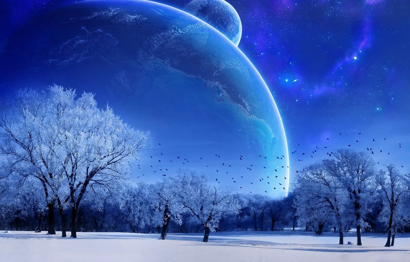 Photo wallpaper winter, the sky, trees, blue, the moon
