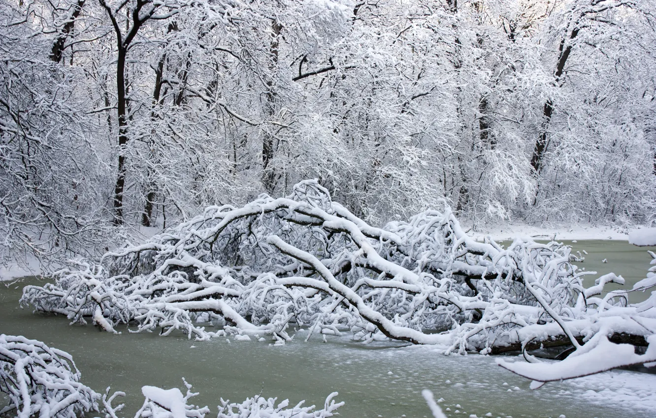 Photo wallpaper winter, snow, trees, landscape, river, white, river, landscape