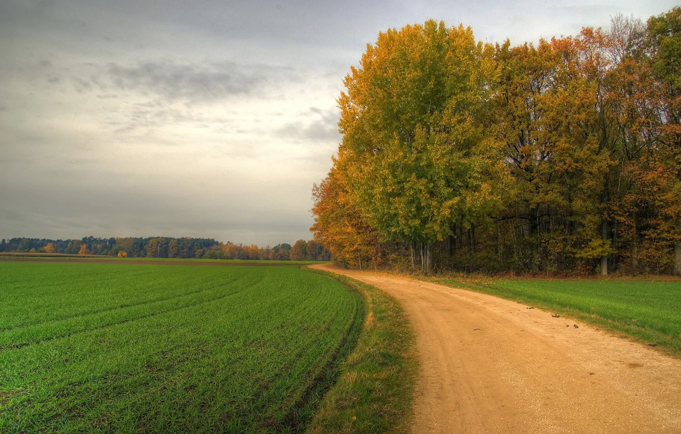 Photo wallpaper road, field, trees, turn, 152
